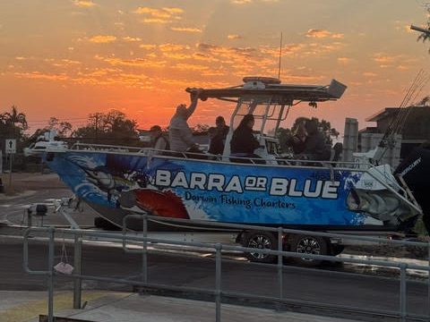 Sunrise Launch Barra or Blue