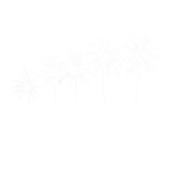 Dundee Beach Life logo