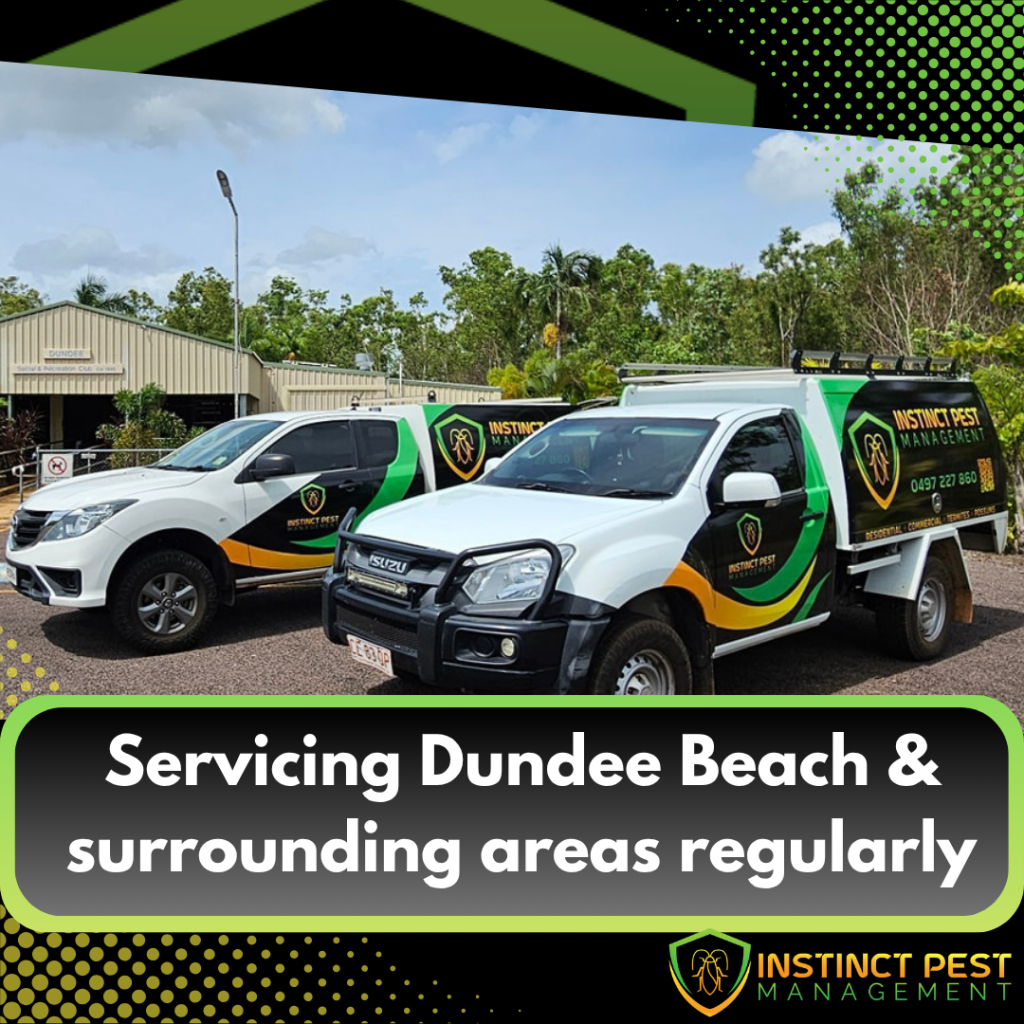 Copy-of-Dundee-Run-October-2026