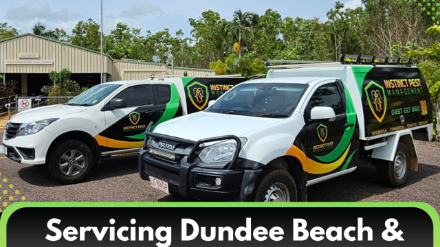 Copy-of-Dundee-Run-October-2026