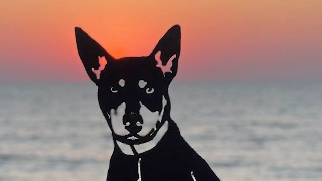 RD-sunset