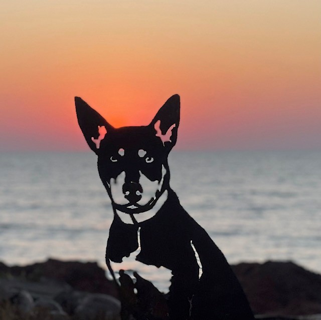 RD-sunset