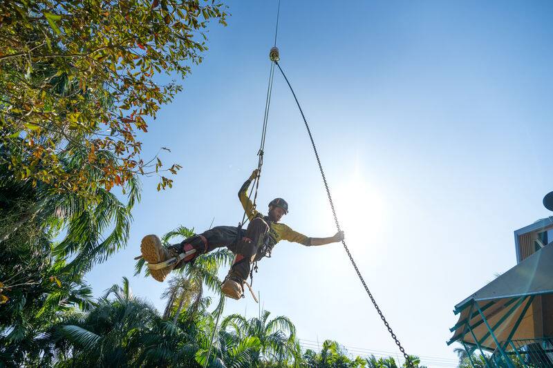 Xtreme Garden Care arborist roped into a tree canopy doing tree work in the NT
